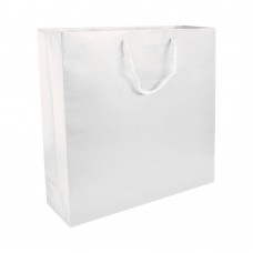 SHOPPER CARTA LAM.45X49X15CM OPACA 17150