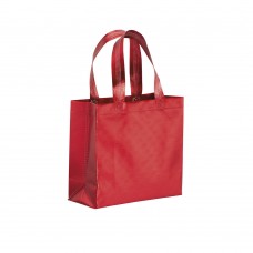 SHOPPER 25X23X10TNT LAMINATA METAL 20146