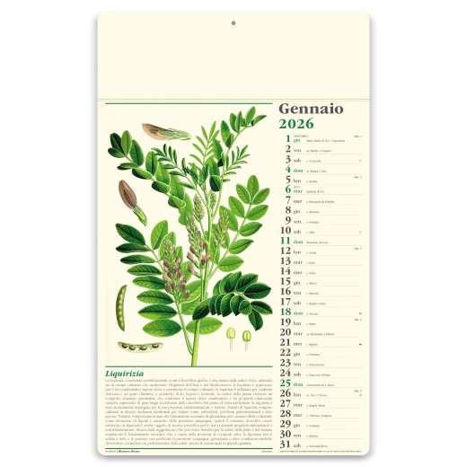 ALMANACCO ITALIANO - ERBORISTERIA PA011