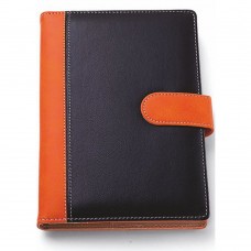 0262 - AGENDA GIORNALIERA PU