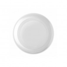 6020 - FRISBEE IN PP