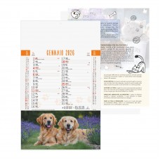 B077 - CALENDARIO CANI E GATTI