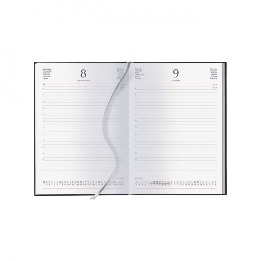 GL17 INTERNO GIORNALIERO CM 17 X24