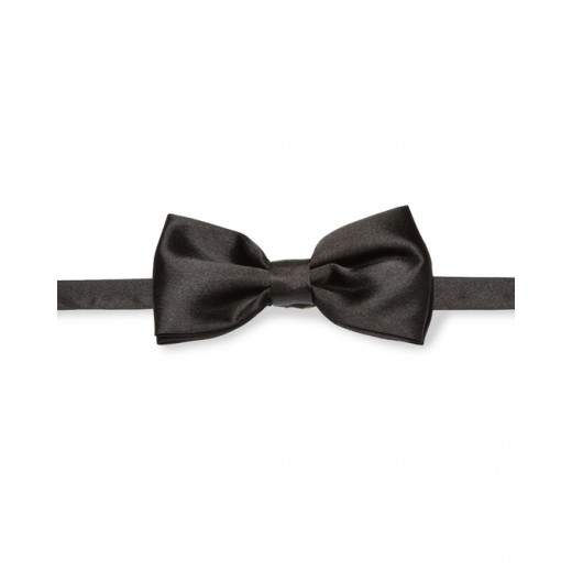 PAPILLON Q5IX0234