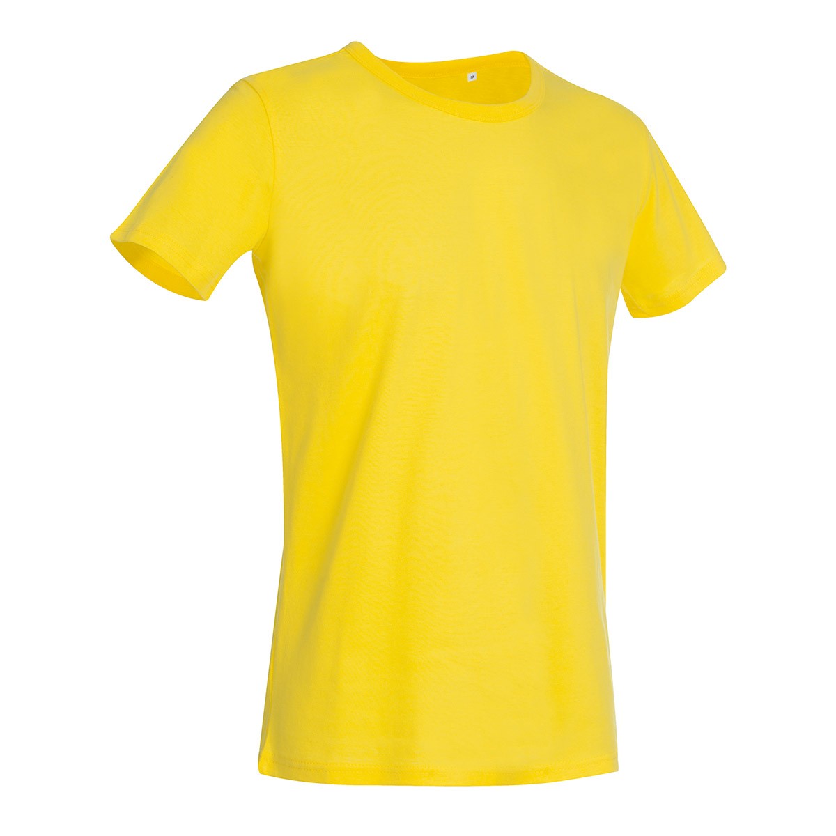 daisy yellow