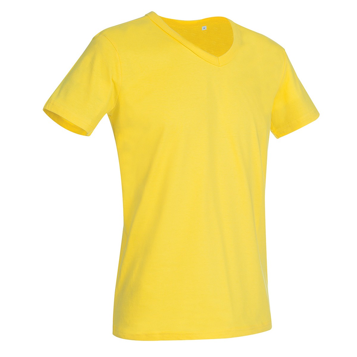 daisy yellow